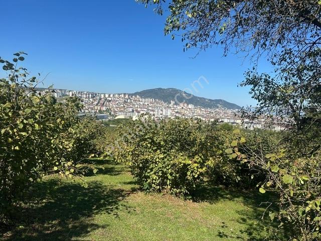 Tepe Gayrimenkul Karşıyaka Yeni Otogar Bölgesi 901 M2 Köşe Arsa — fotoğraf 9