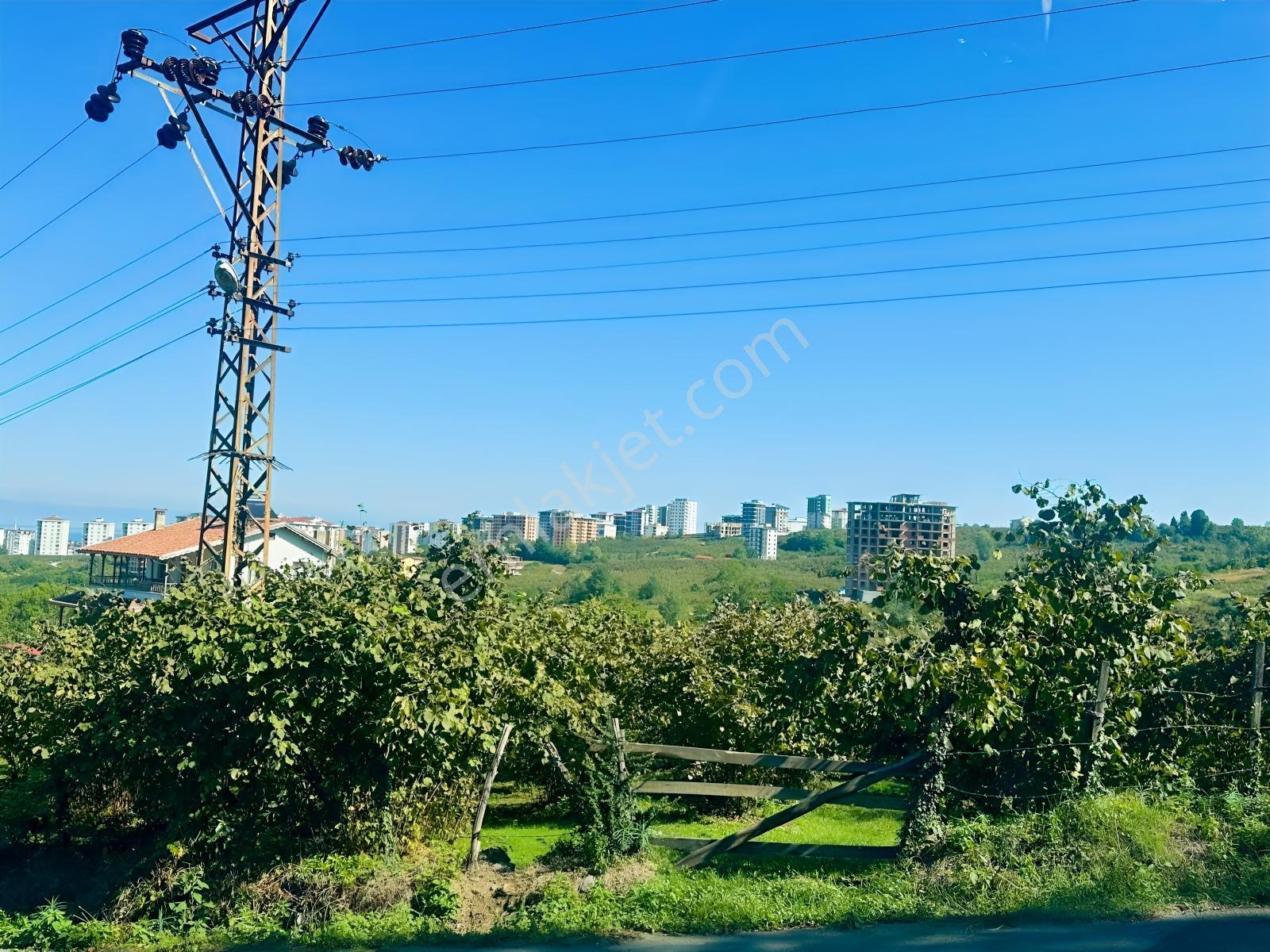 Tepe Gayrimenkul Karşıyaka Yeni Otogar Bölgesi 901 M2 Köşe Arsa — fotoğraf 12