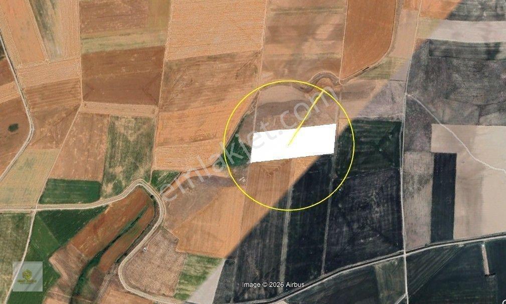 Seyitgazi İkiçeşme Mahallesinde Satılık Tarla