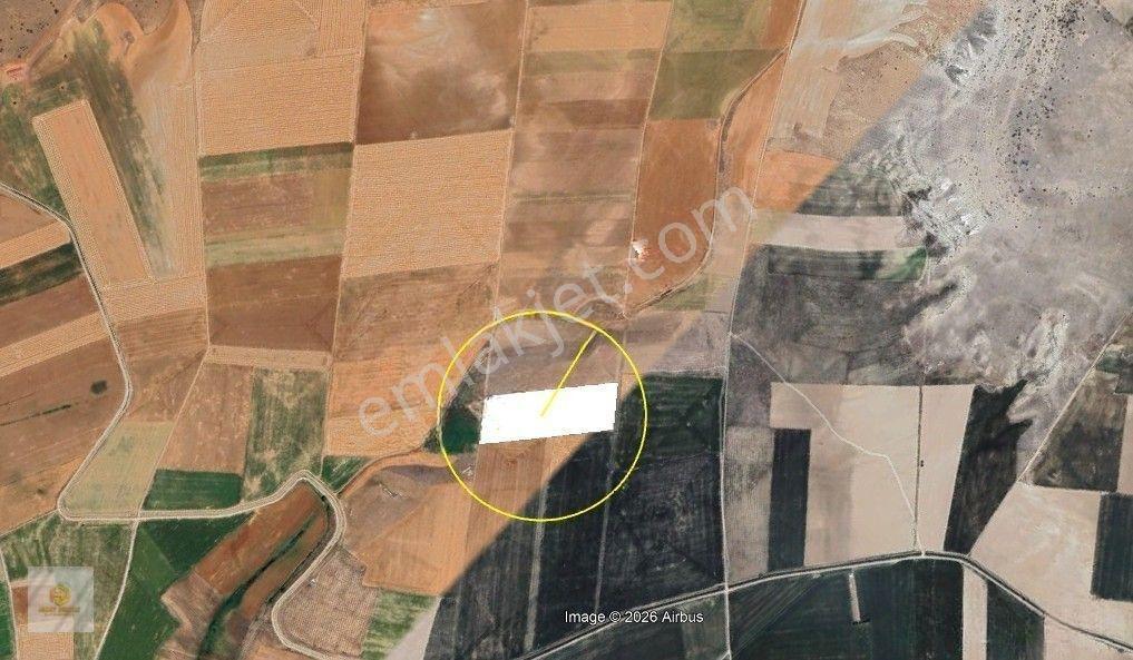Seyitgazi İkiçeşme Mahallesinde Satılık Tarla — fotoğraf 3