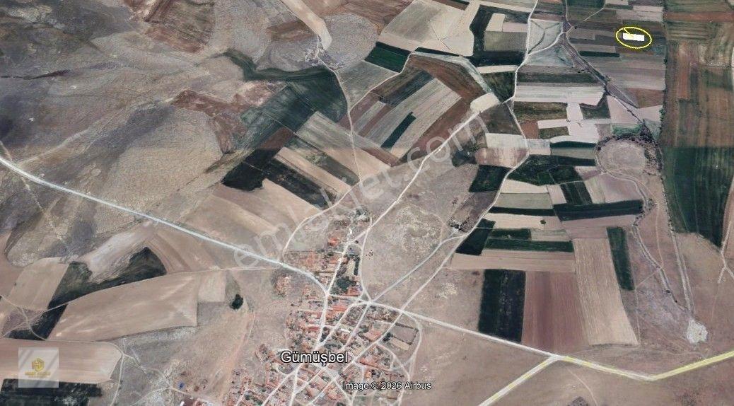 Seyitgazi Gümüşbel Mahallesinde Satılık Tarla — fotoğraf 4