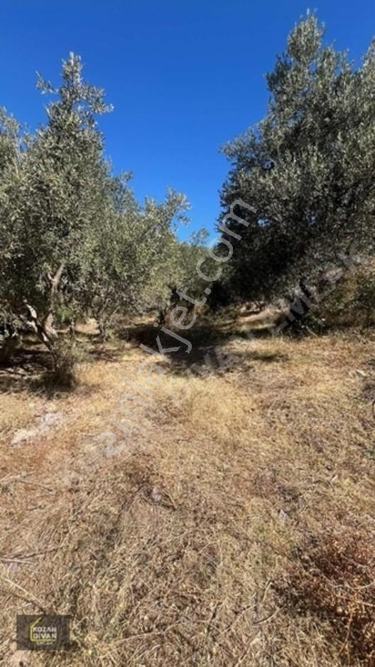 Kozan Divan Emlak'tan Durmuşlu'da Baraj Manzaralı Arsa — fotoğraf 14