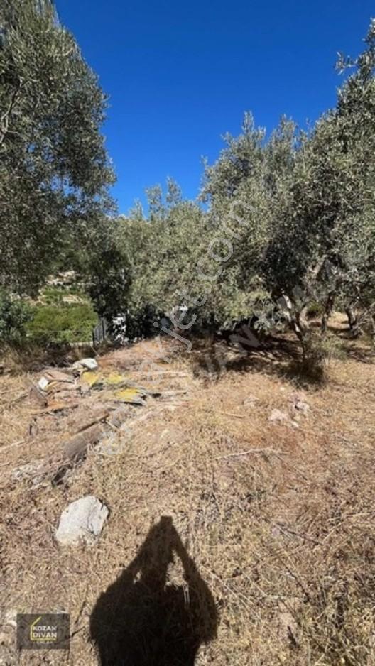 Kozan Divan Emlak'tan Durmuşlu'da Baraj Manzaralı Arsa — fotoğraf 15
