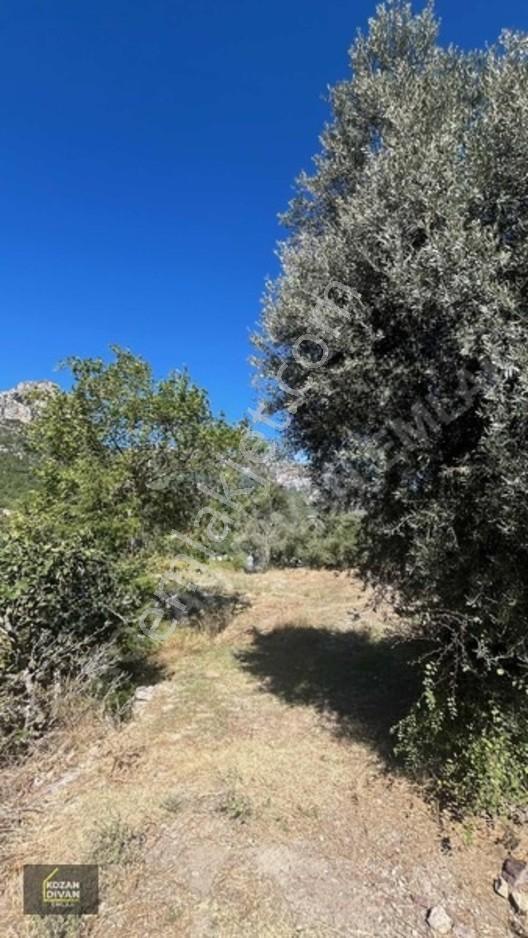 Kozan Divan Emlak'tan Durmuşlu'da Baraj Manzaralı Arsa — fotoğraf 19