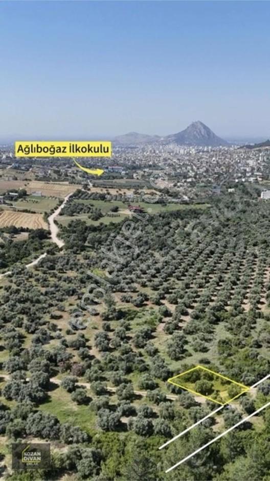 Kozan Divan Emlak'tan Ağlıboğaz'da 416 M2 Arsa