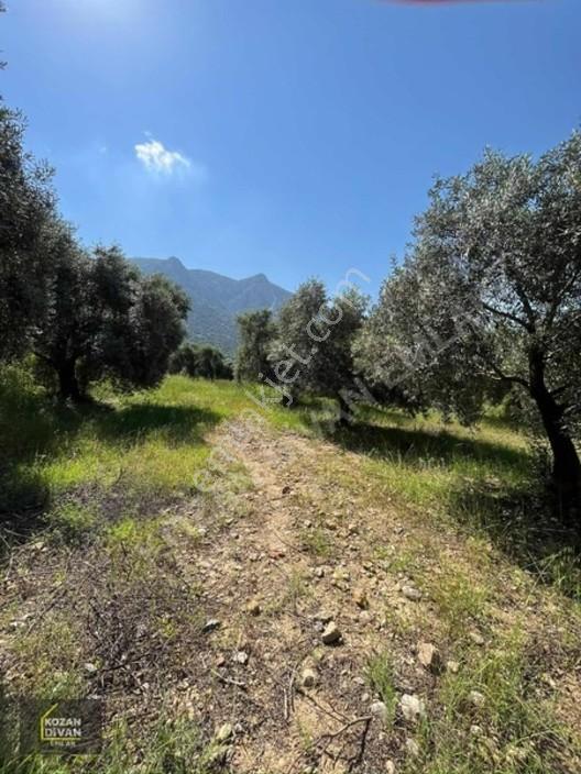 Kozan Divan Emlak'tan Ağlıboğaz'da 416 M2 Arsa — fotoğraf 4