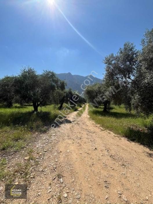 Kozan Divan Emlak'tan Ağlıboğaz'da 416 M2 Arsa — fotoğraf 6