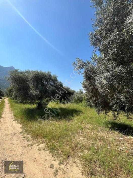 Kozan Divan Emlak'tan Ağlıboğaz'da 416 M2 Arsa — fotoğraf 7