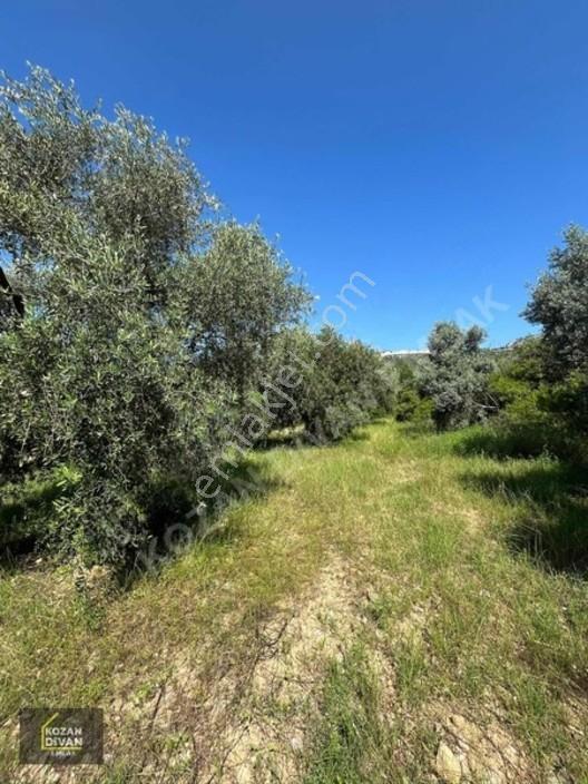 Kozan Divan Emlak'tan Ağlıboğaz'da 416 M2 Arsa — fotoğraf 8