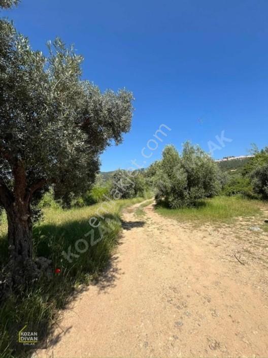 Kozan Divan Emlak'tan Ağlıboğaz'da 416 M2 Arsa — fotoğraf 9