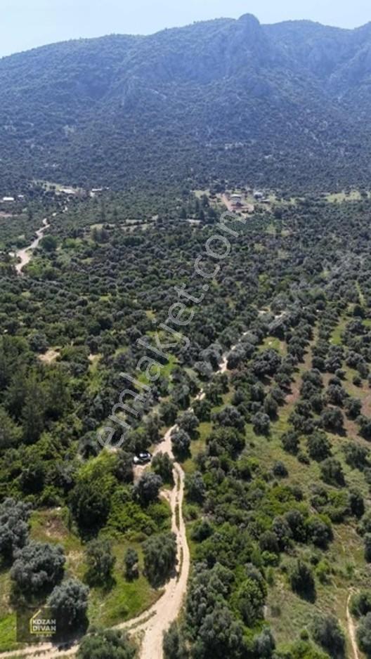 Kozan Divan Emlak'tan Ağlıboğaz'da 416 M2 Arsa — fotoğraf 11