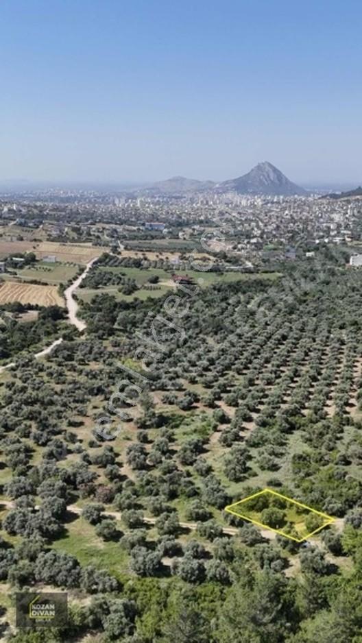 Kozan Divan Emlak'tan Ağlıboğaz'da 416 M2 Arsa — fotoğraf 12