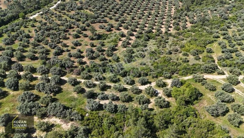 Kozan Divan Emlak'tan Ağlıboğaz'da 416 M2 Arsa — fotoğraf 14
