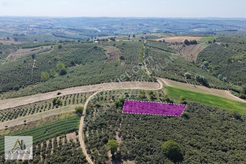 Abdürrezzak'da 546 M2 Hissesi Satılık Olan Yatırımlık Bahçe — fotoğraf 7