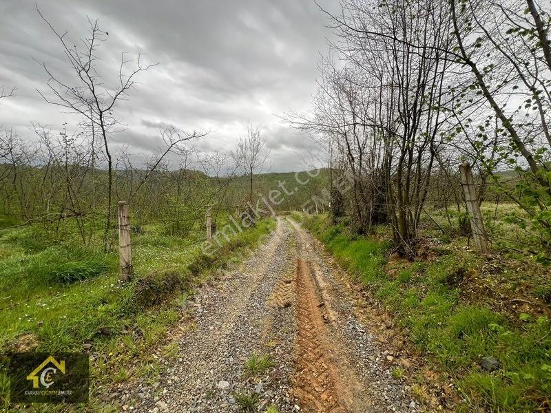 Deniz 3 Km Mesafe,demiraçma Köyünde Satılık Arsalar Çiğdem Emlak — fotoğraf 11