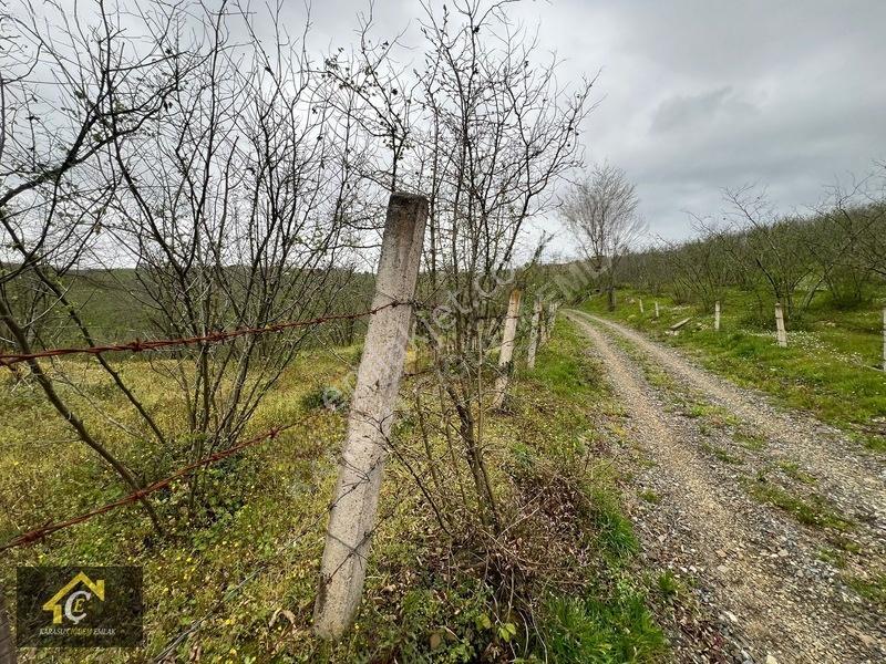 Deniz 3 Km Mesafe,demiraçma Köyünde Satılık Arsalar Çiğdem Emlak — fotoğraf 13