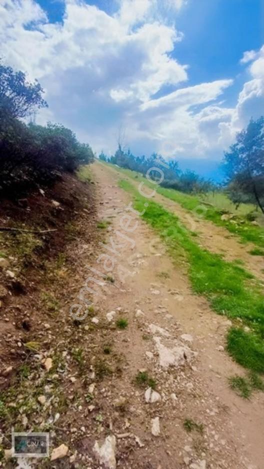 Seydikemer Çatakta Değerli Yatırım Fırsatı! — fotoğraf 4