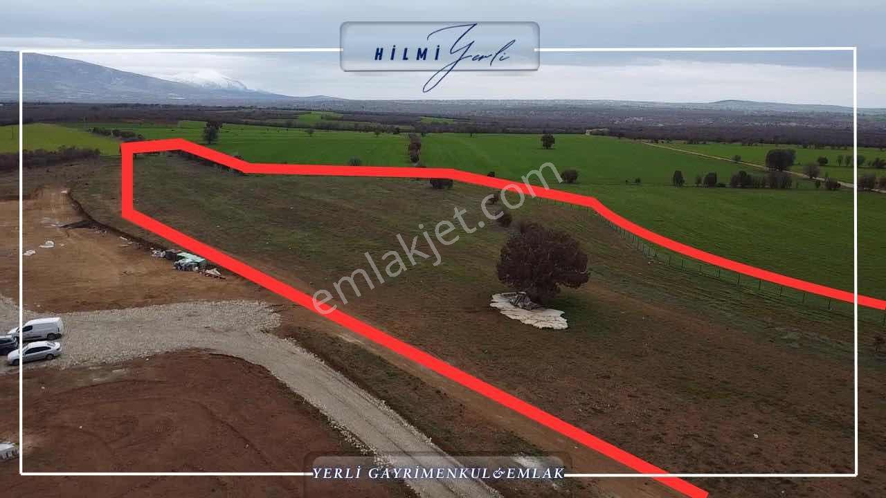 Yerli Gayrimenkul'den Çed Raporlu Tavuk Çiftliği Arazisi — fotoğraf 3