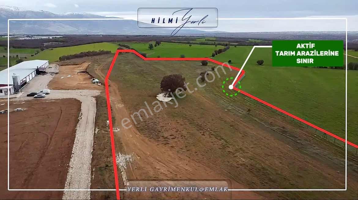 Yerli Gayrimenkul'den Çed Raporlu Tavuk Çiftliği Arazisi — fotoğraf 5