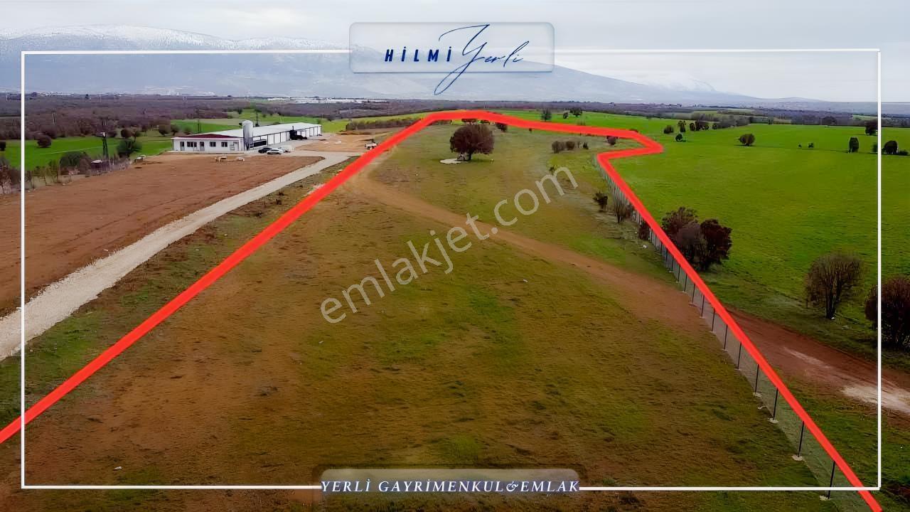 Yerli Gayrimenkul'den Çed Raporlu Tavuk Çiftliği Arazisi — fotoğraf 7
