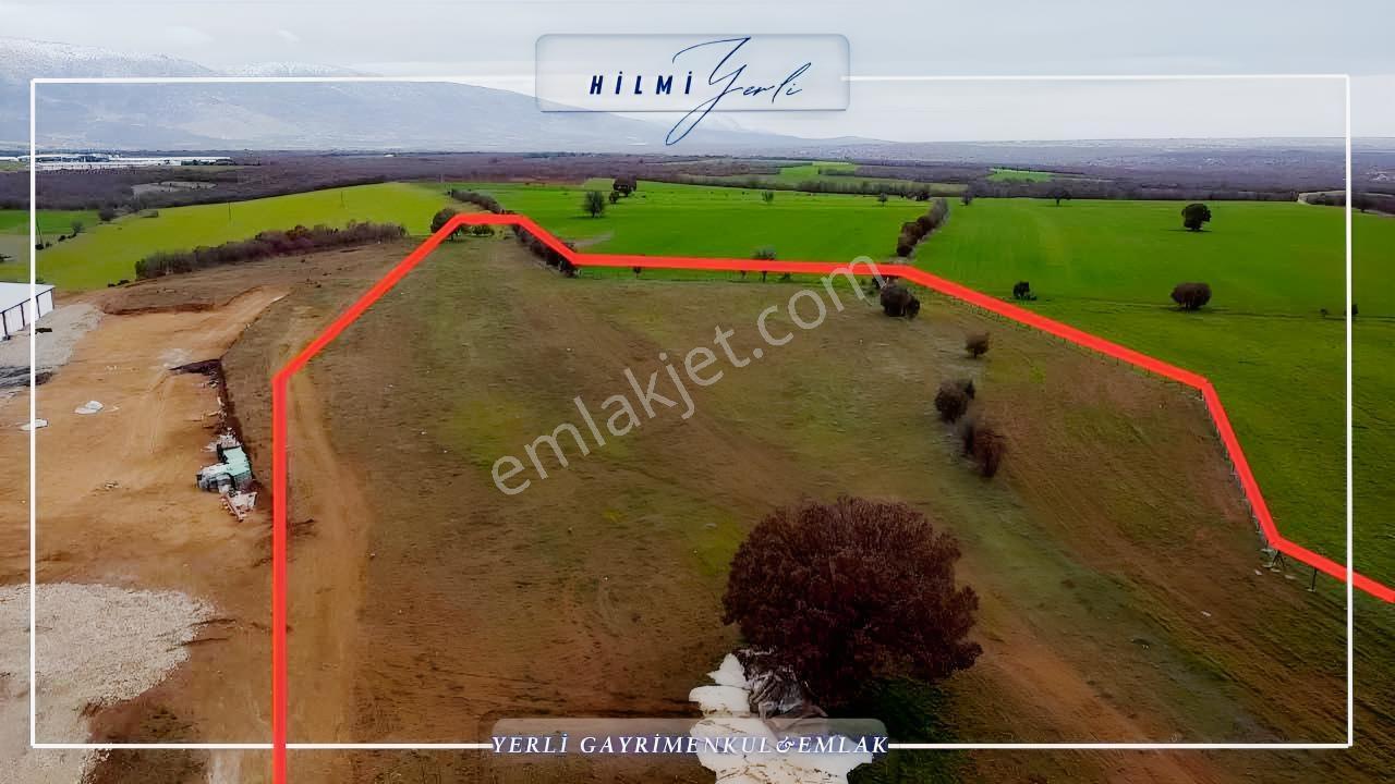 Yerli Gayrimenkul'den Çed Raporlu Tavuk Çiftliği Arazisi — fotoğraf 11