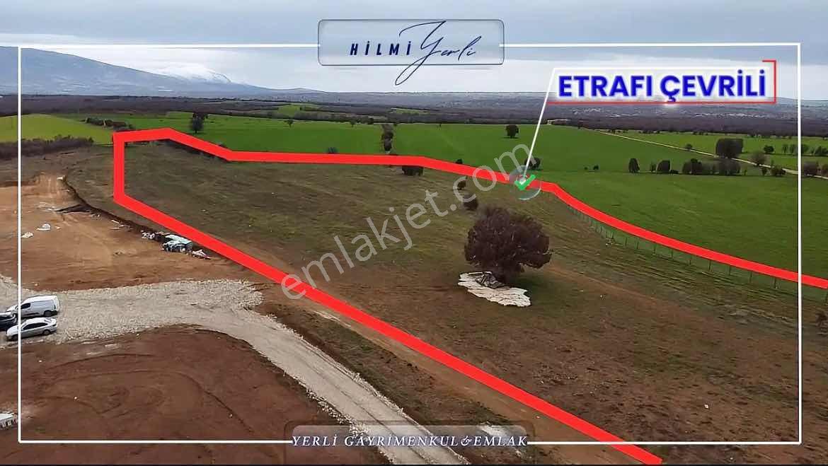 Yerli Gayrimenkul'den Çed Raporlu Tavuk Çiftliği Arazisi — fotoğraf 12