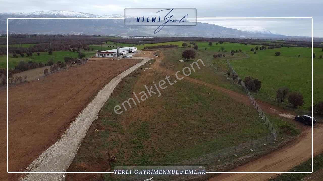 Yerli Gayrimenkul'den Çed Raporlu Tavuk Çiftliği Arazisi — fotoğraf 14