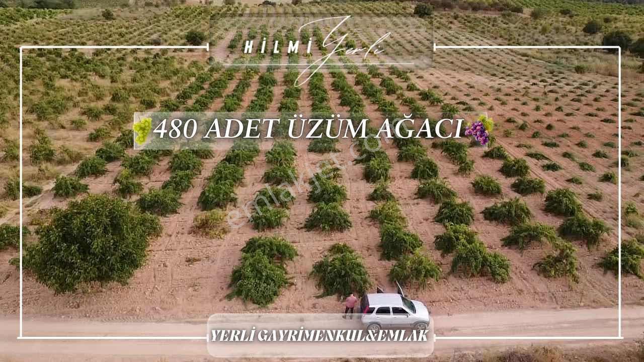 Yerli Gayrimenkul'den Satılık Üzüm Bağı — fotoğraf 2