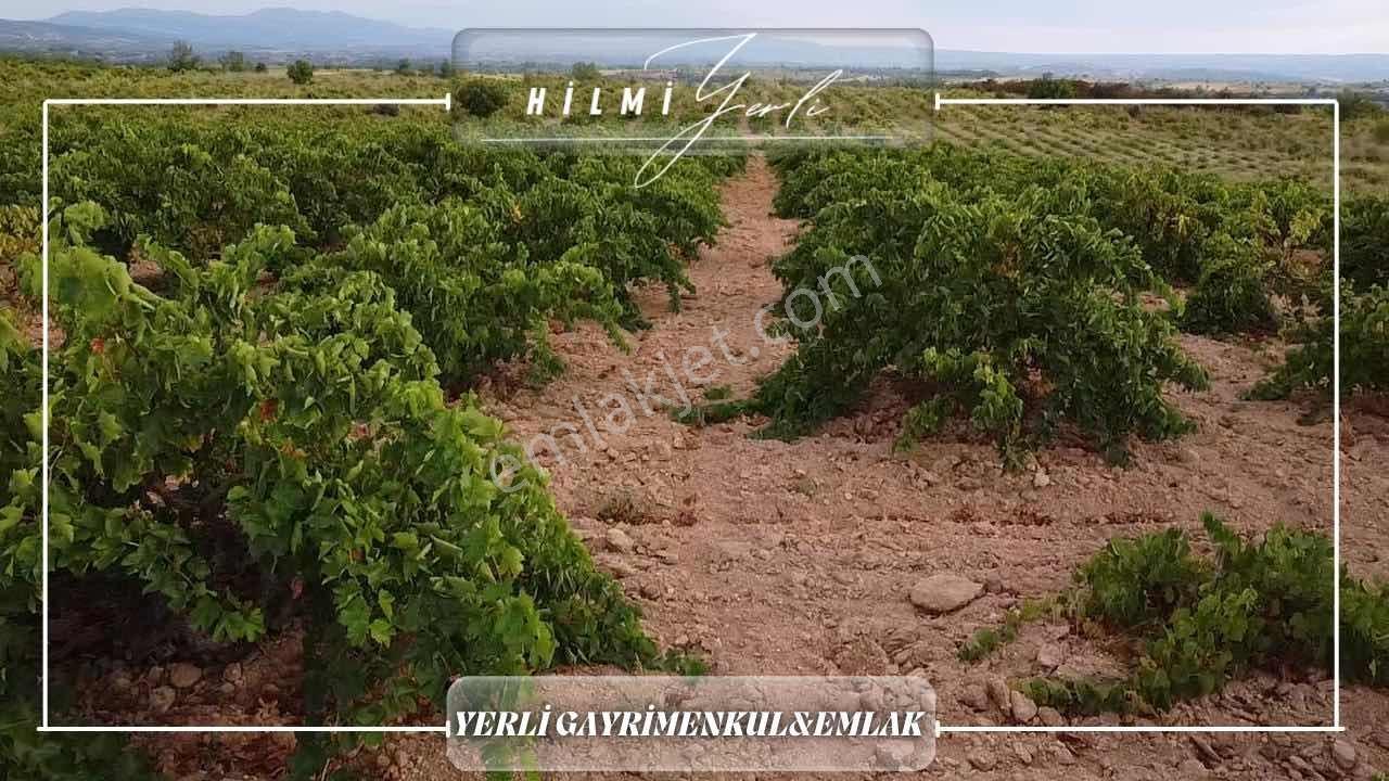 Yerli Gayrimenkul'den Satılık Üzüm Bağı — fotoğraf 5