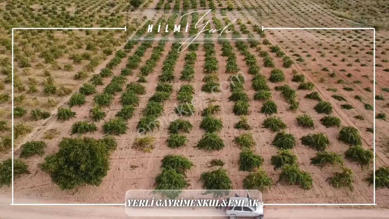 Yerli Gayrimenkul'den Satılık Üzüm Bağı — fotoğraf 8