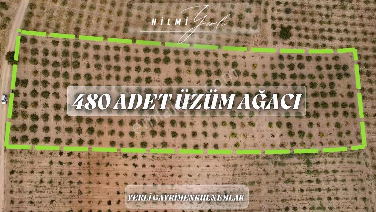 Yerli Gayrimenkul'den Satılık Üzüm Bağı — fotoğraf 12