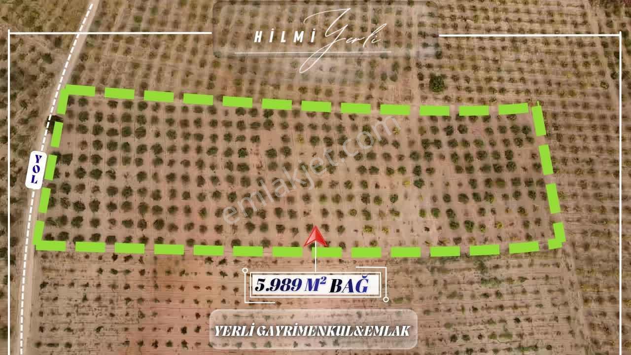 Yerli Gayrimenkul'den Satılık Üzüm Bağı — fotoğraf 19