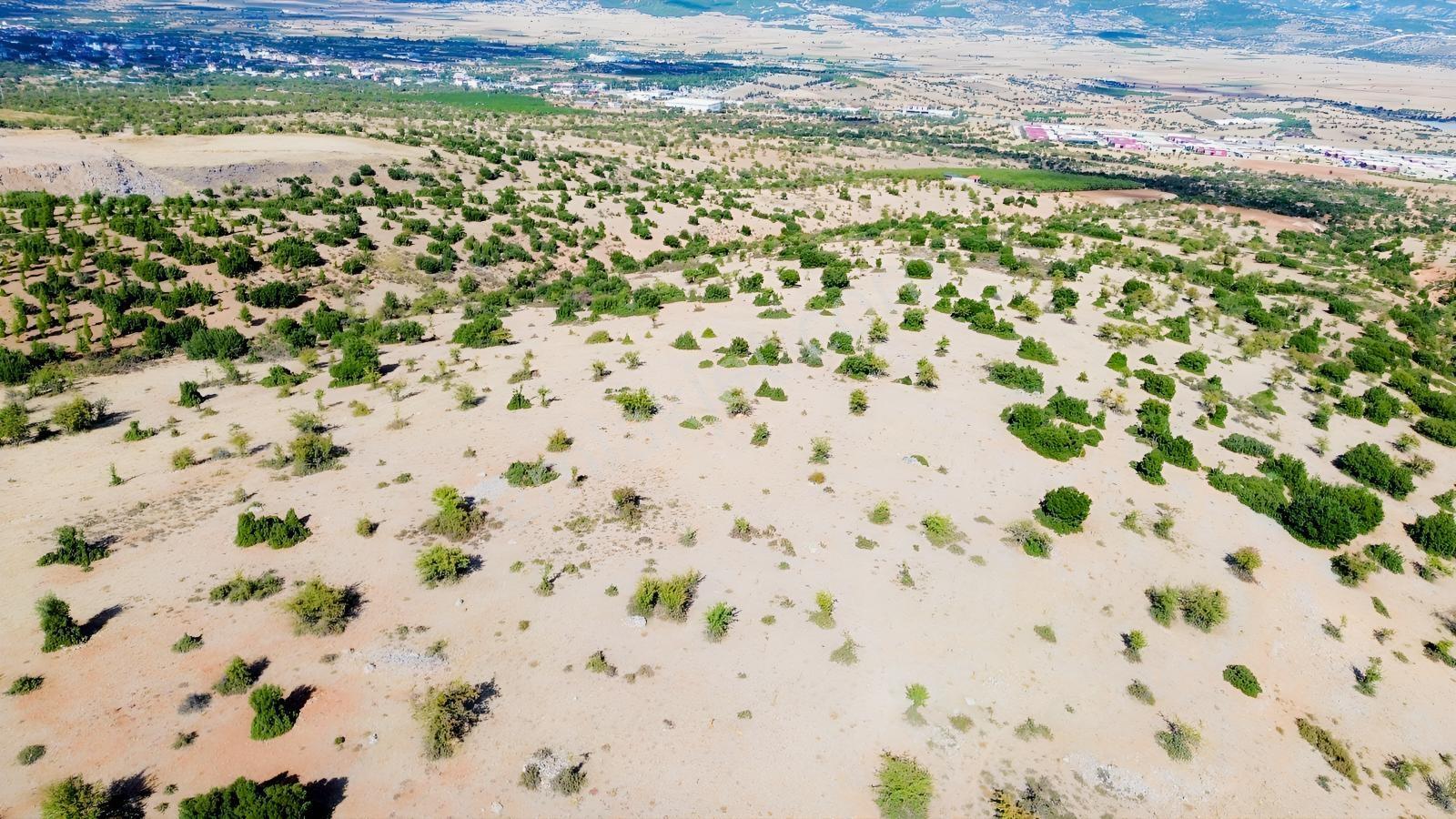 Serinhisar Leblebiciler Sitesi Üstü 25.412 M² Satılık Tarla — fotoğraf 5