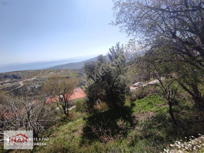 Akbük Koyuna 15 Dakika Deniz Manzaralı 4 Parsel İmkanı — fotoğraf 9