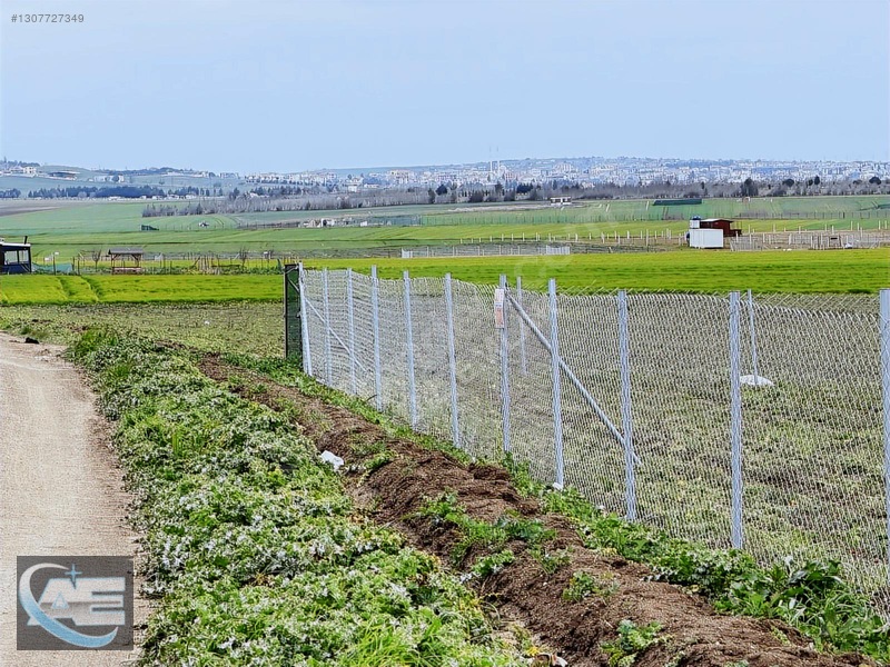 350Mtr Yeri Güzel