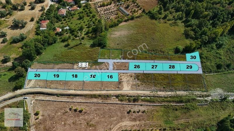 Tuana Emlak'tan Zeytinalanı'nda 250 M² Satılık Parseller — fotoğraf 4