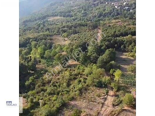 Öztarlacıdan 3 Parça Kısmî İmarlı Ve Bahçe Vasıflı 10000 M2