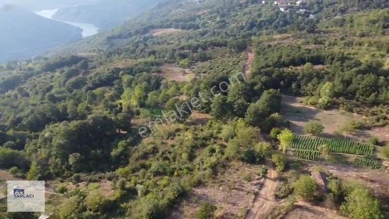 Öztarlacıdan 3 Parça Kısmî İmarlı Ve Bahçe Vasıflı 10000 M2 — fotoğraf 2