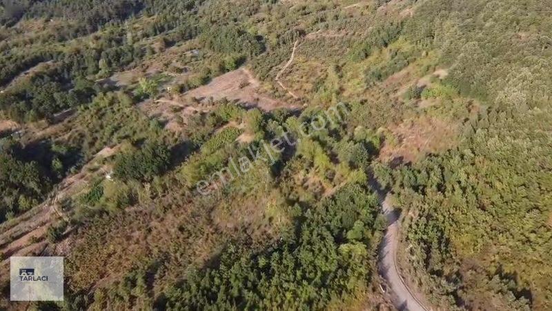 Öztarlacıdan 3 Parça Kısmî İmarlı Ve Bahçe Vasıflı 10000 M2 — fotoğraf 3