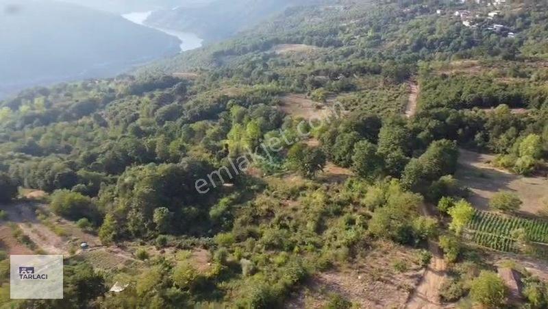Öztarlacıdan 3 Parça Kısmî İmarlı Ve Bahçe Vasıflı 10000 M2 — fotoğraf 4