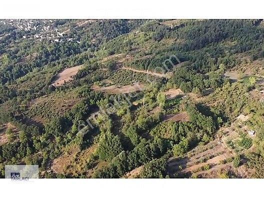 Öztarlacıdan 3 Parça Kısmî İmarlı Ve Bahçe Vasıflı 10000 M2 — fotoğraf 5
