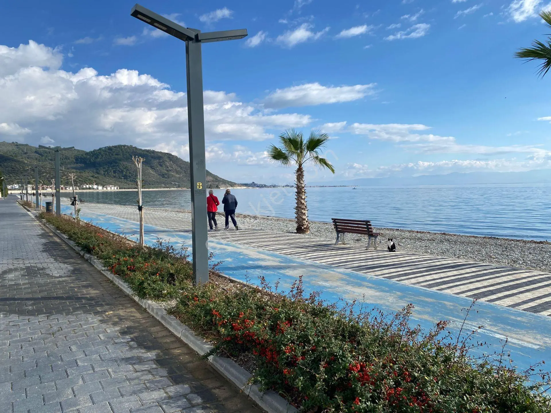 ✨ay Emlaktan✨altınoluk Yağcılarda Denize 50 Sadece Mt Komple Deniz Manzaralı S...