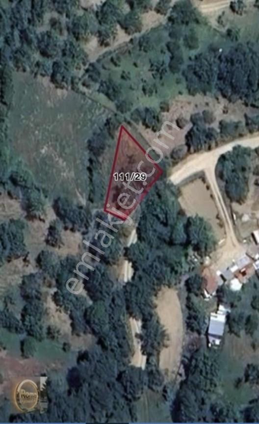 Roma' Dan Sarıpınar Köyun' De Satılık Arsa