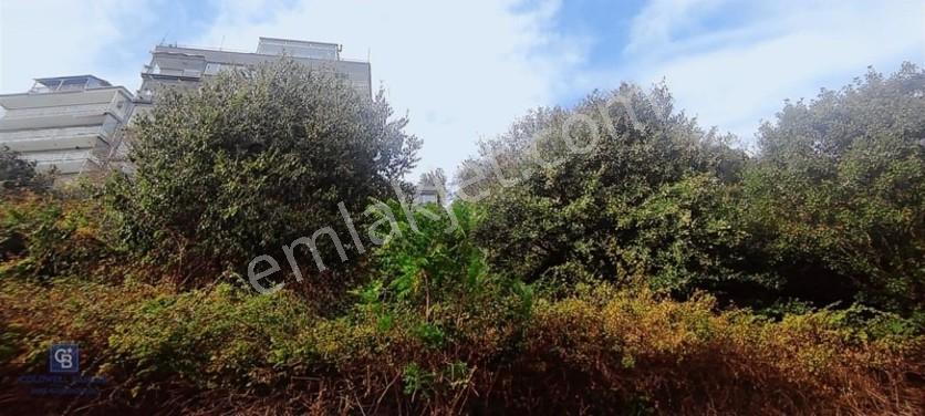 Emirganda Boğaziçi Öngörünümlü Yatırımlık İmarsız Satılık Arsa — fotoğraf 3