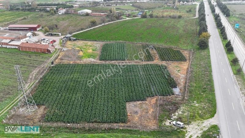 Baylent Gayrimenkulden Altıeylül Köselerde Kaçırılmayacak Arazi — fotoğraf 5