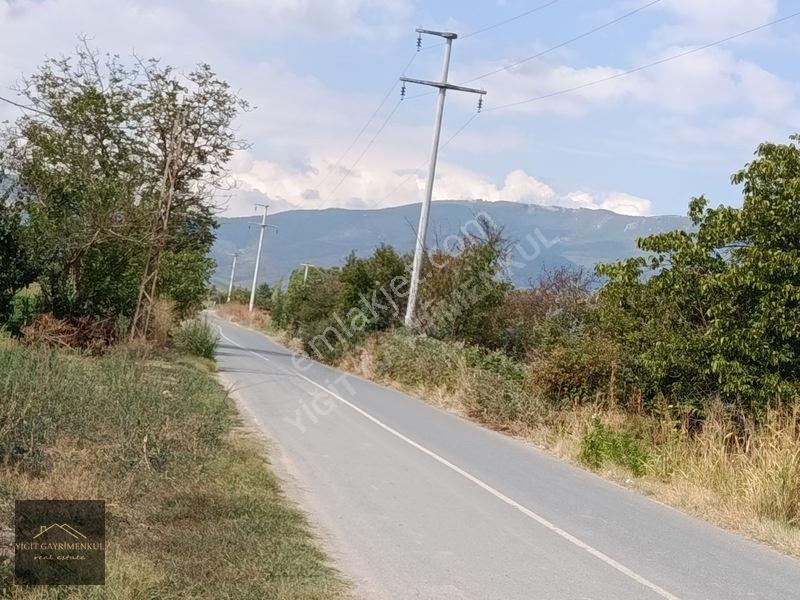 Sakarya Pamukova Mekecede 2.040 M² Satılık Verimli Ayva Bahçesi — fotoğraf 15