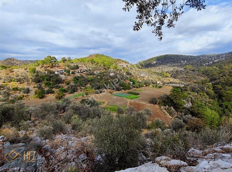 Hfz Gayrimenkulden Kısa Süreliğine Fırsat İlanı 2800m² Tarla — fotoğraf 2