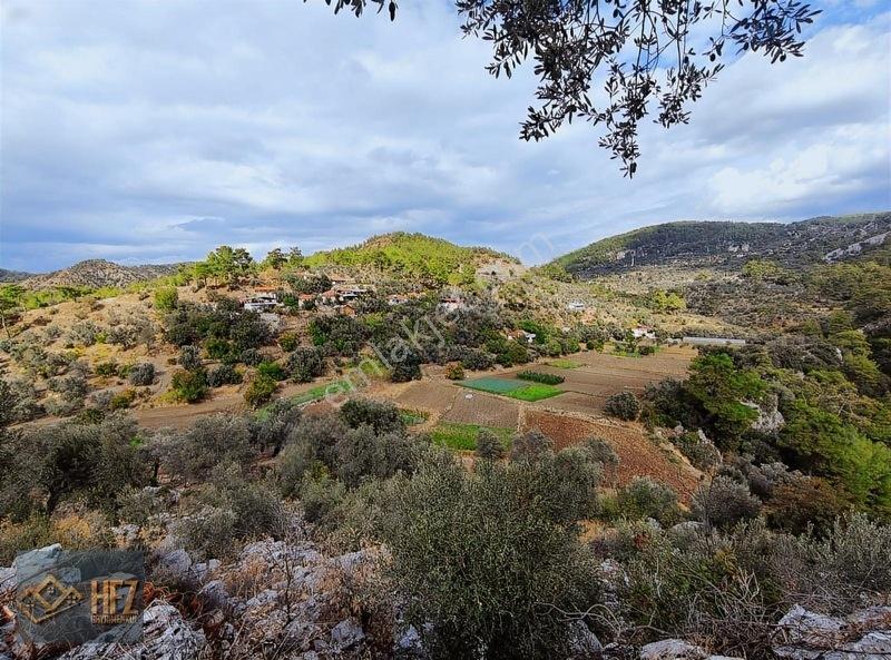 Hfz Gayrimenkulden Kısa Süreliğine Fırsat İlanı 2800m² Tarla — fotoğraf 5
