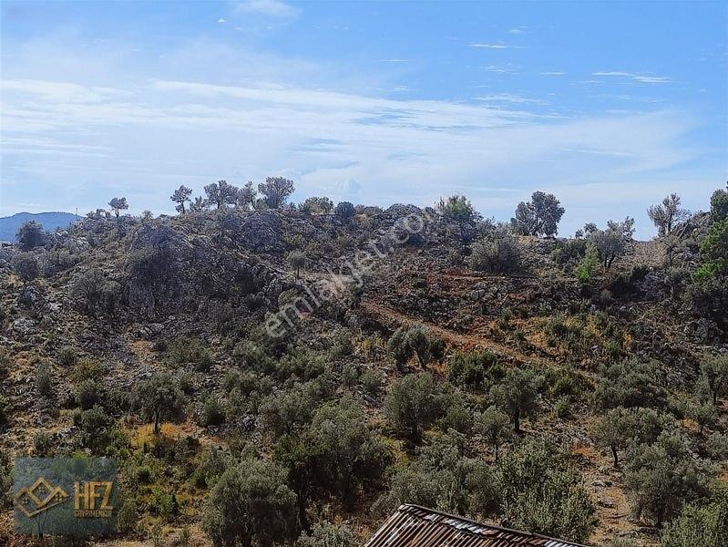 Hfz Gayrimenkulden Kısa Süreliğine Fırsat İlanı 2800m² Tarla — fotoğraf 8