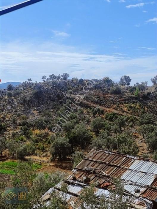 Hfz Gayrimenkulden Kısa Süreliğine Fırsat İlanı 2800m² Tarla — fotoğraf 9
